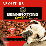 About Benningtons