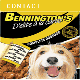 Contact Benningtons